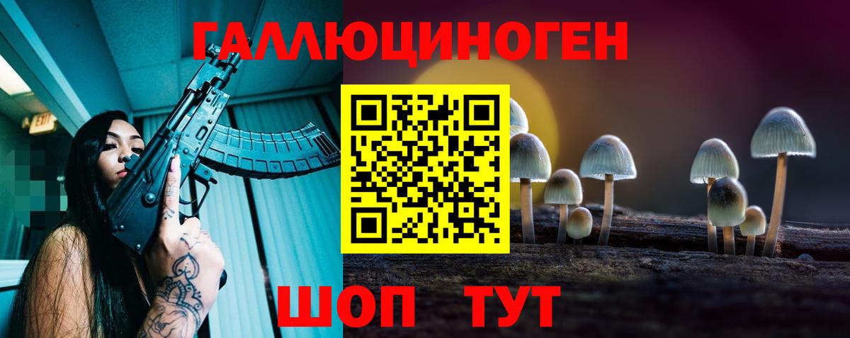 Псилоцибиновые грибы Cubensis  даркнет сайт  Саратов  Вход с VPN  Галлюциногенные грибы прущие грибы 